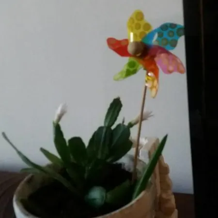 Ladadika Appartement *